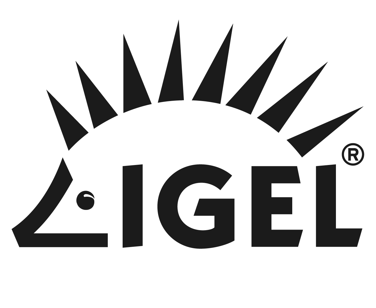 IGEL Logo